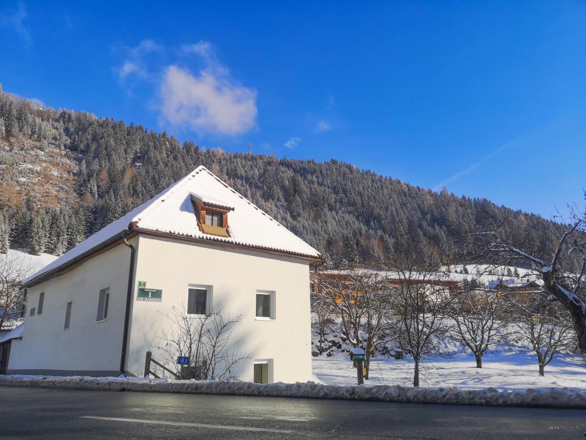 Haus Senna Villa Murau Luaran gambar